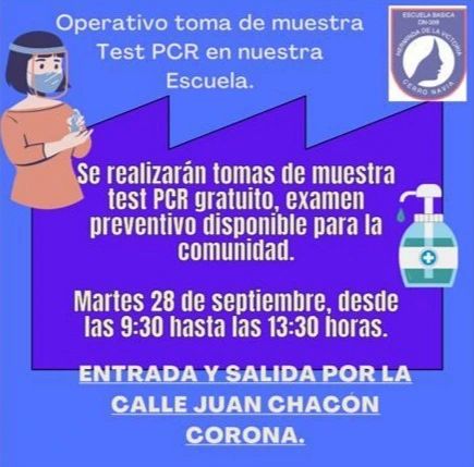 En este momento estás viendo Test PCR en nuestra Escuela